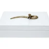 Boite Snake Bite Blanc 28X7Cm