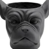 Cachepot Décoratif Bulldog Noir