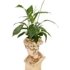 Cachepot Décoratif David Dore