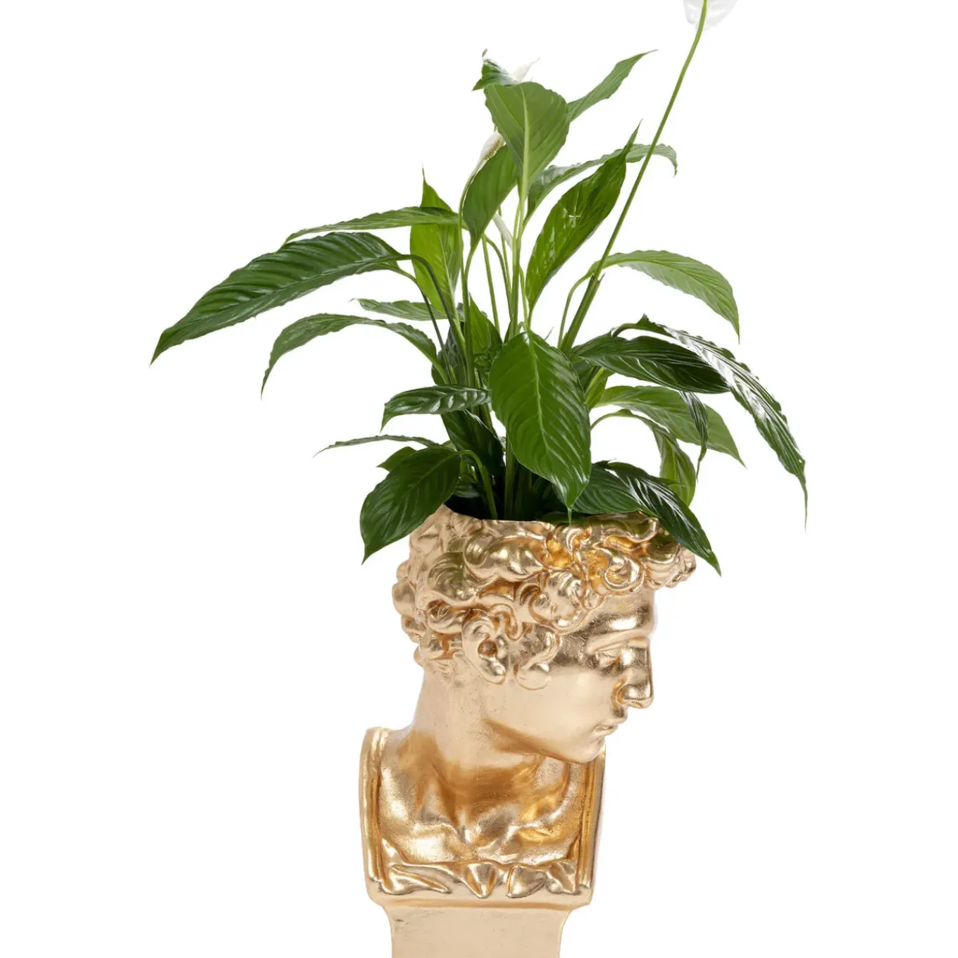 Cachepot Décoratif David Dore