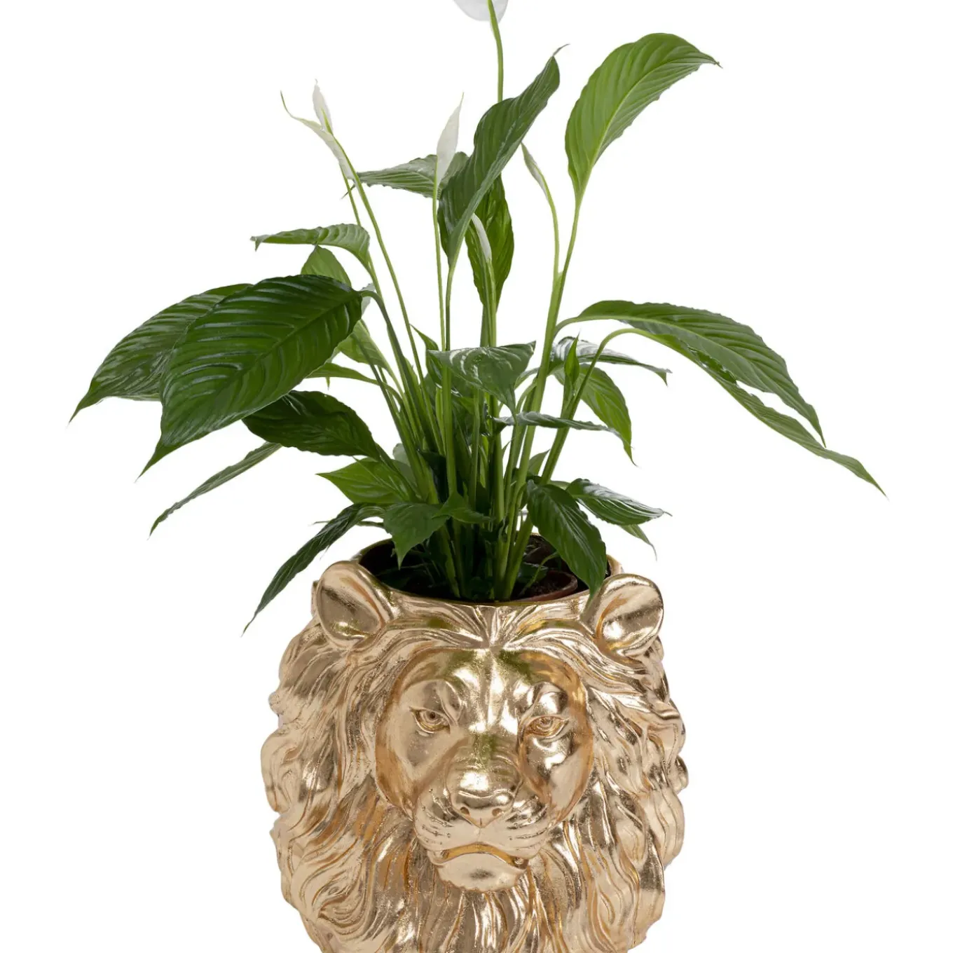Cachepot Décoratif Lion Dore