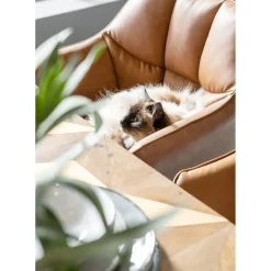 Chaise A. Acc. Thinktank Marron