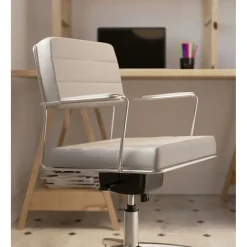 Chaise De Bureau Pivotante Dottore Gris