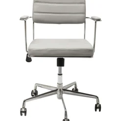 Chaise De Bureau Pivotante Dottore Gris