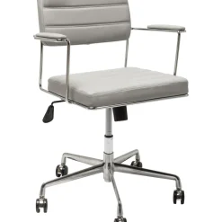 Chaise De Bureau Pivotante Dottore Gris