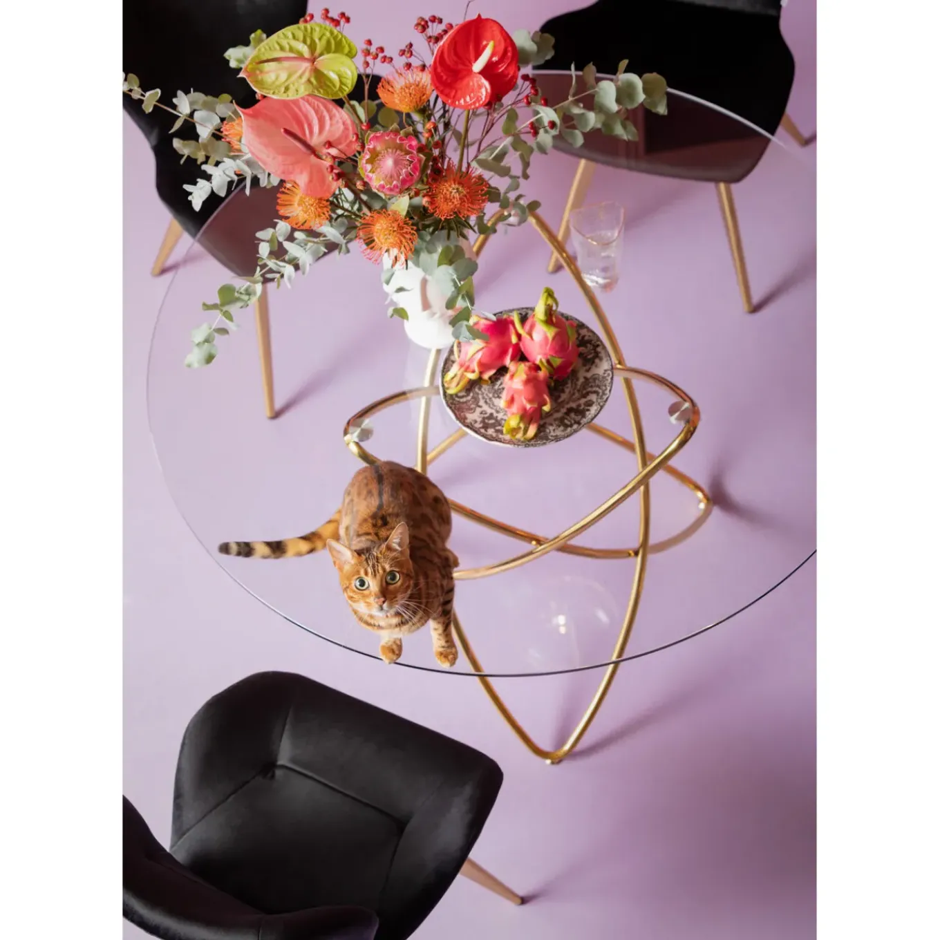 Chaise Viva Noir