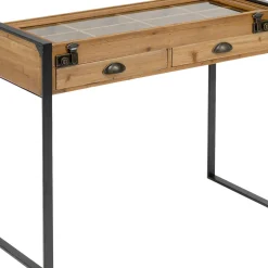 Console Collector Nature 90X35