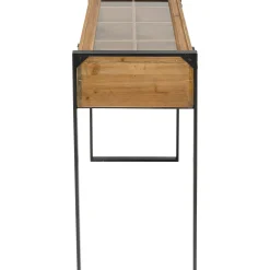 Console Collector Nature 90X35