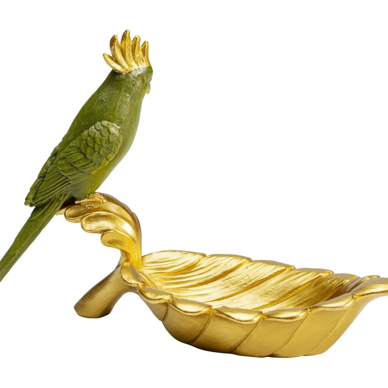 Coupe Décorative Parrot Guard 10X21Cm