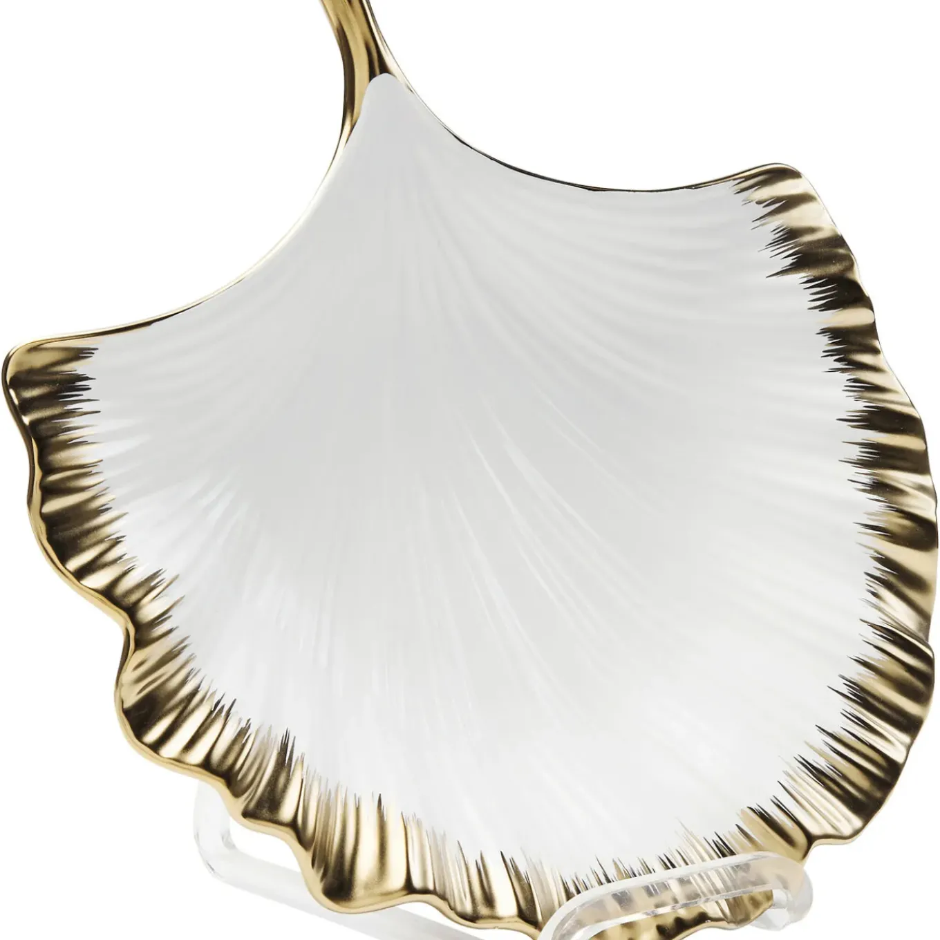 Coupe Ginkgo Elegance Rim