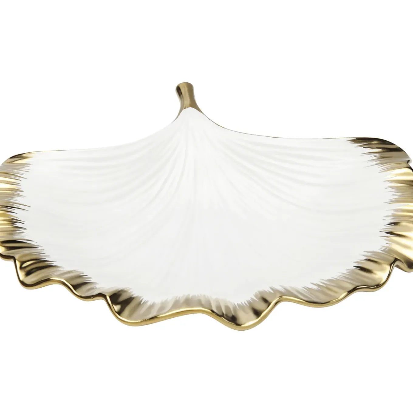Coupe Ginkgo Elegance Rim