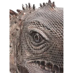 Figurine Décorative Iguana 135Cm