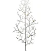 Garderobe Murale Ants On A Tree Gm