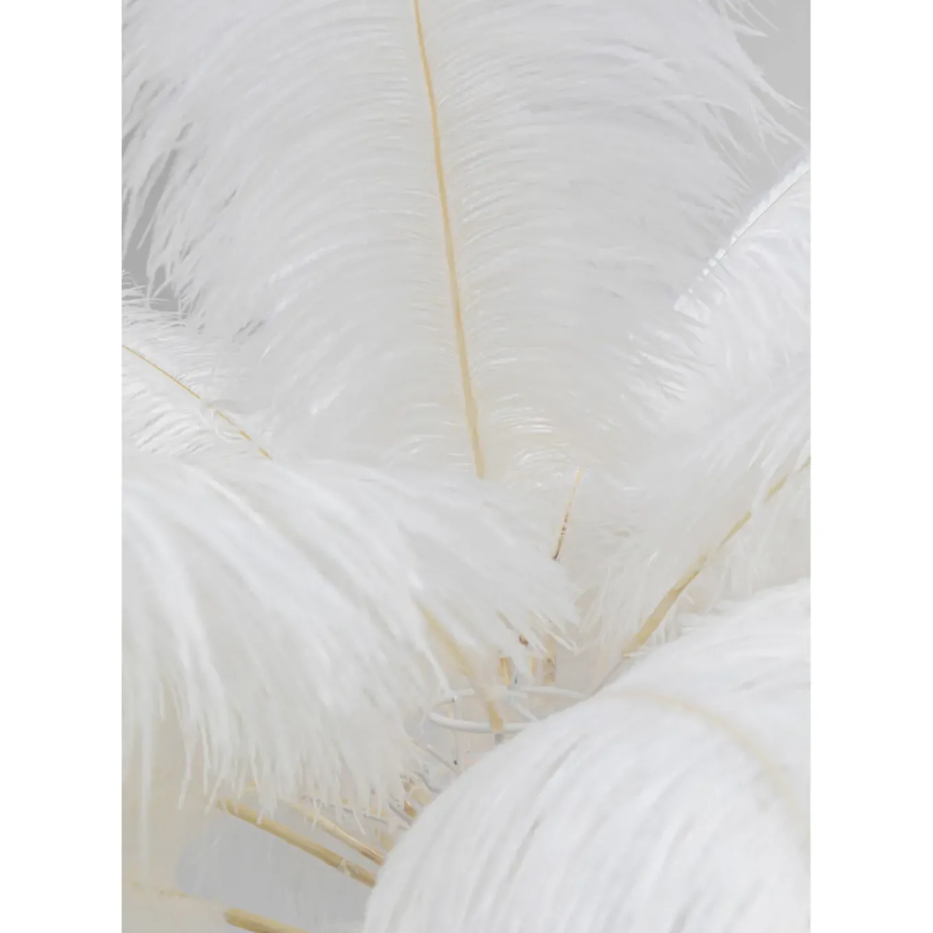 Lampadaire Feather Palm Blanc 165Cm