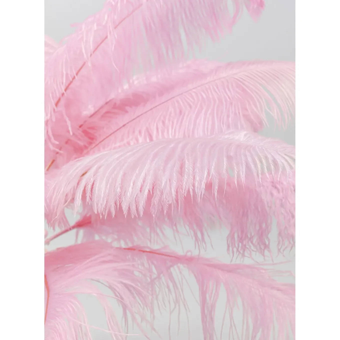 Lampe A Poser Feather Palm Fuchsia 60Cm