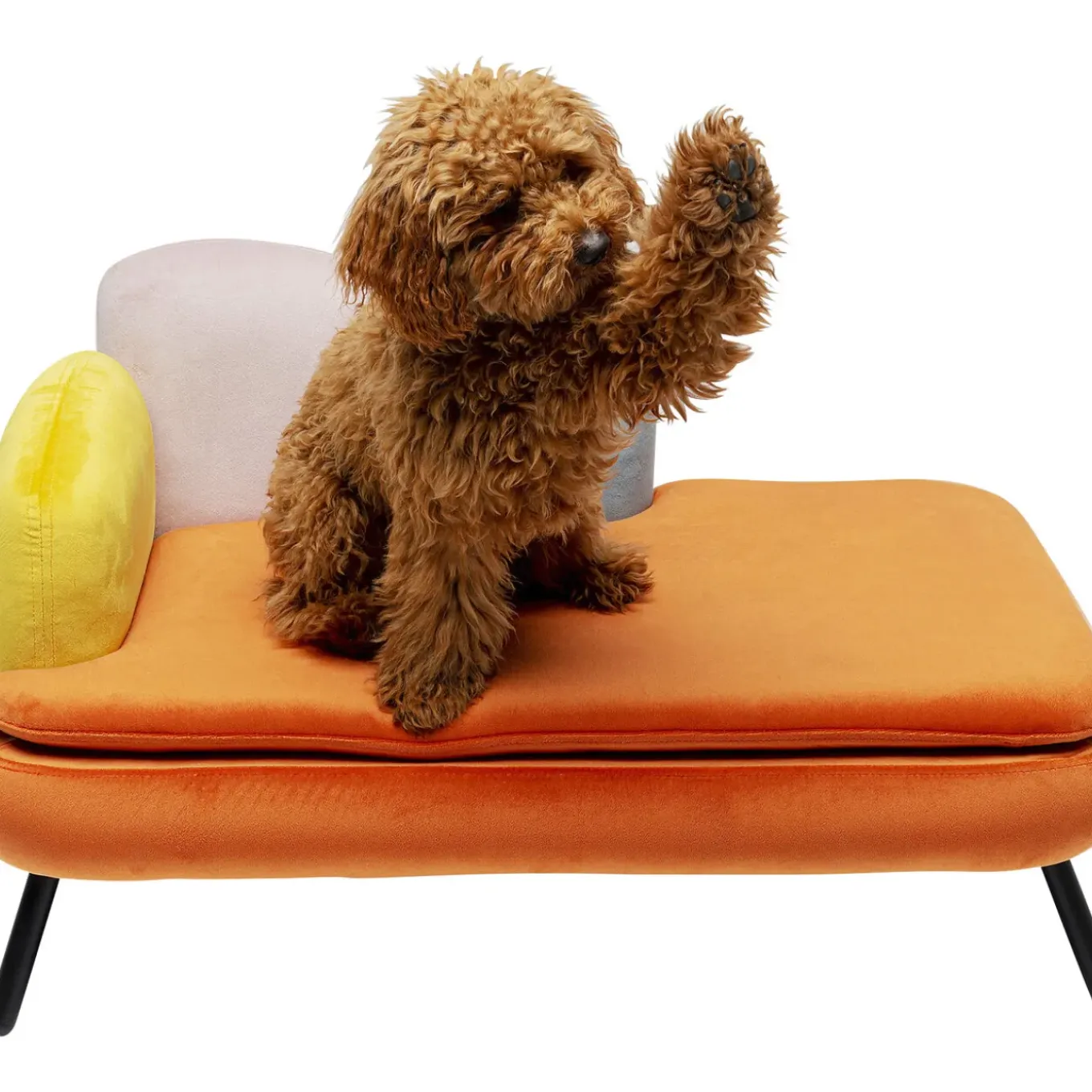Lit Pour Chien/Chat Diva Orange