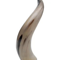 Objet Décoratif Natural Horn