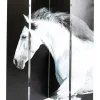 Paravent Beauty Horses 160X180Cm