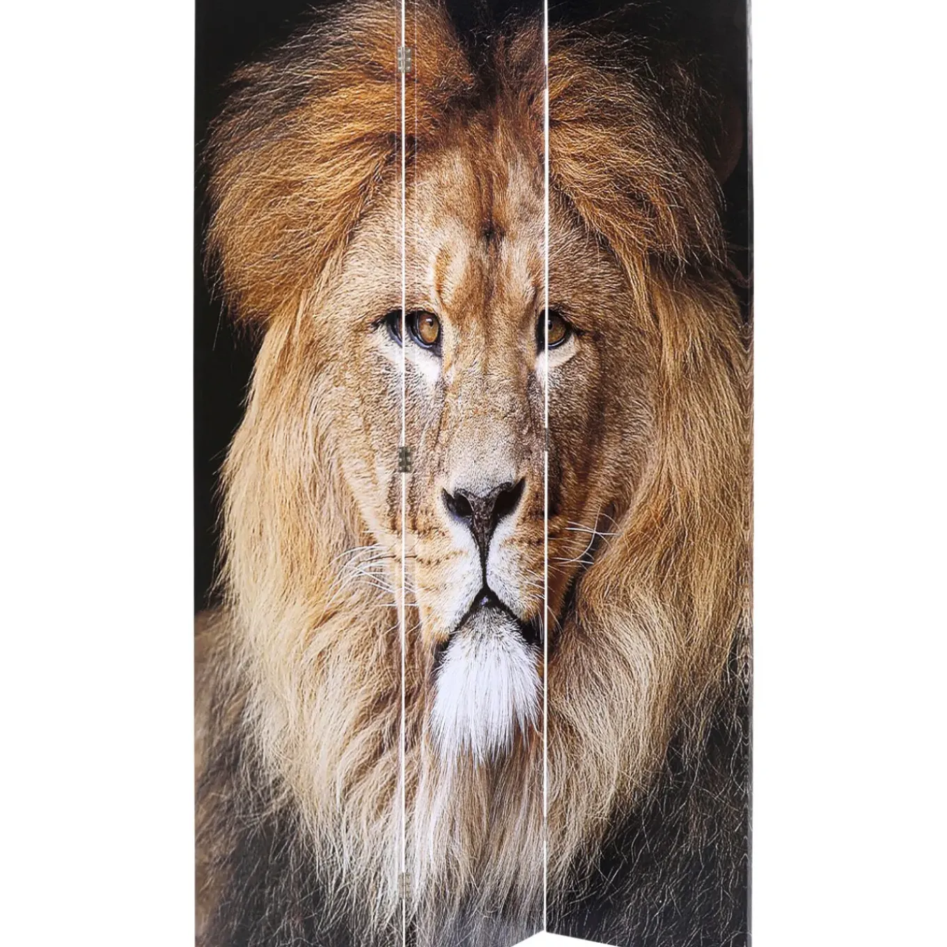 Paravent King Lion Vs Cat Girl 120X180