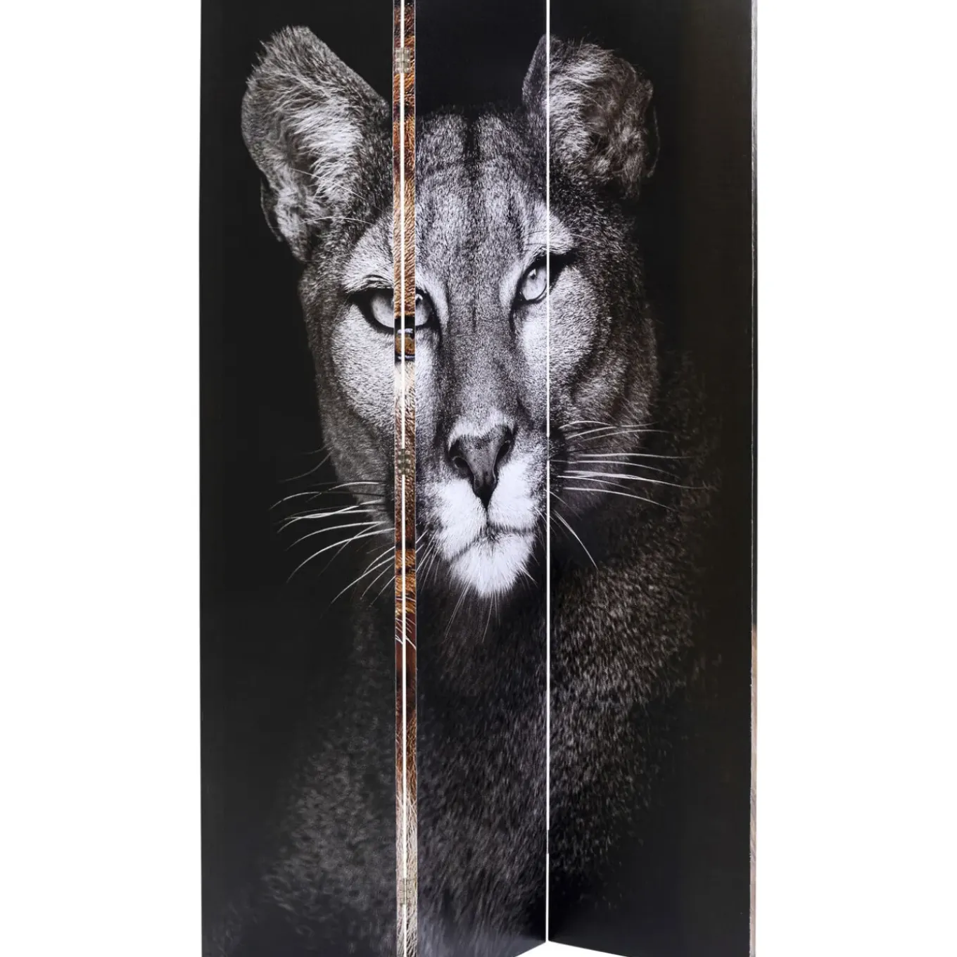 Paravent King Lion Vs Cat Girl 120X180