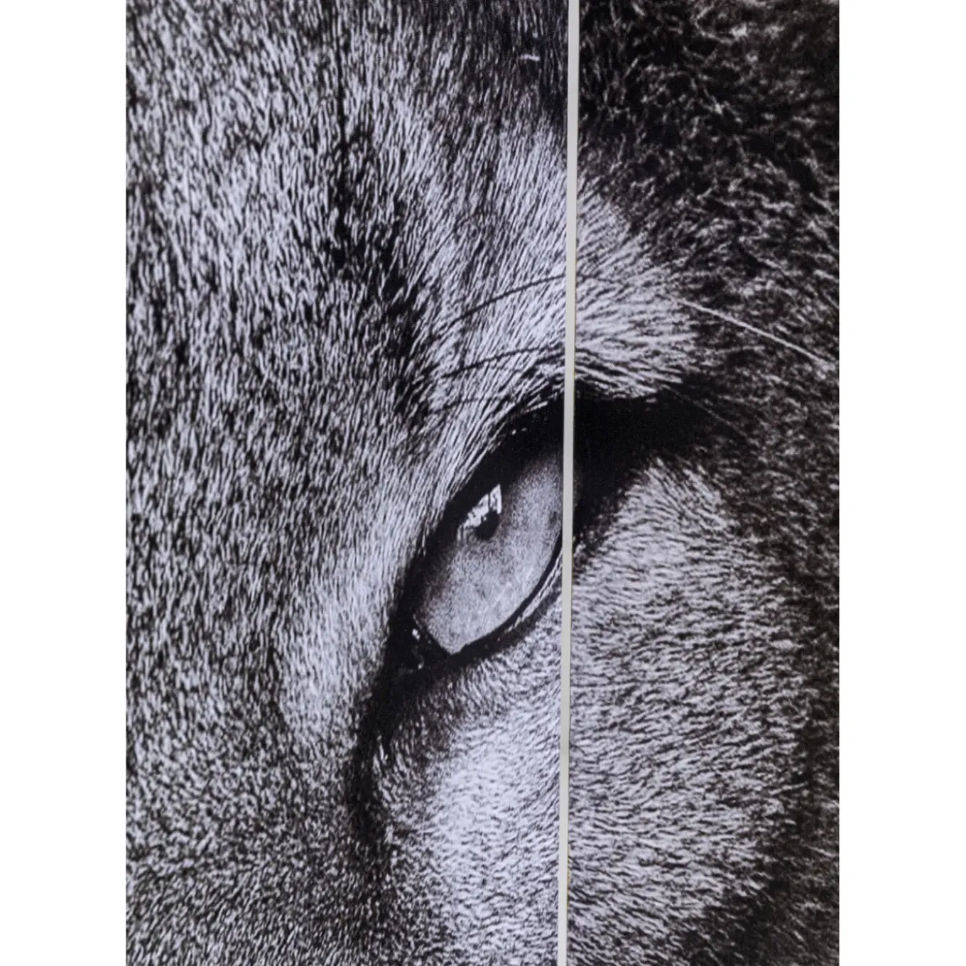 Paravent King Lion Vs Cat Girl 120X180