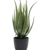 Plante Décorative Aloe 69Cm