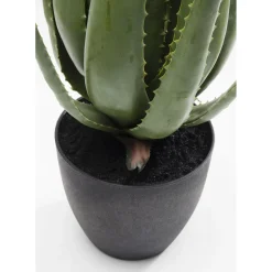 Plante Décorative Aloe 69Cm