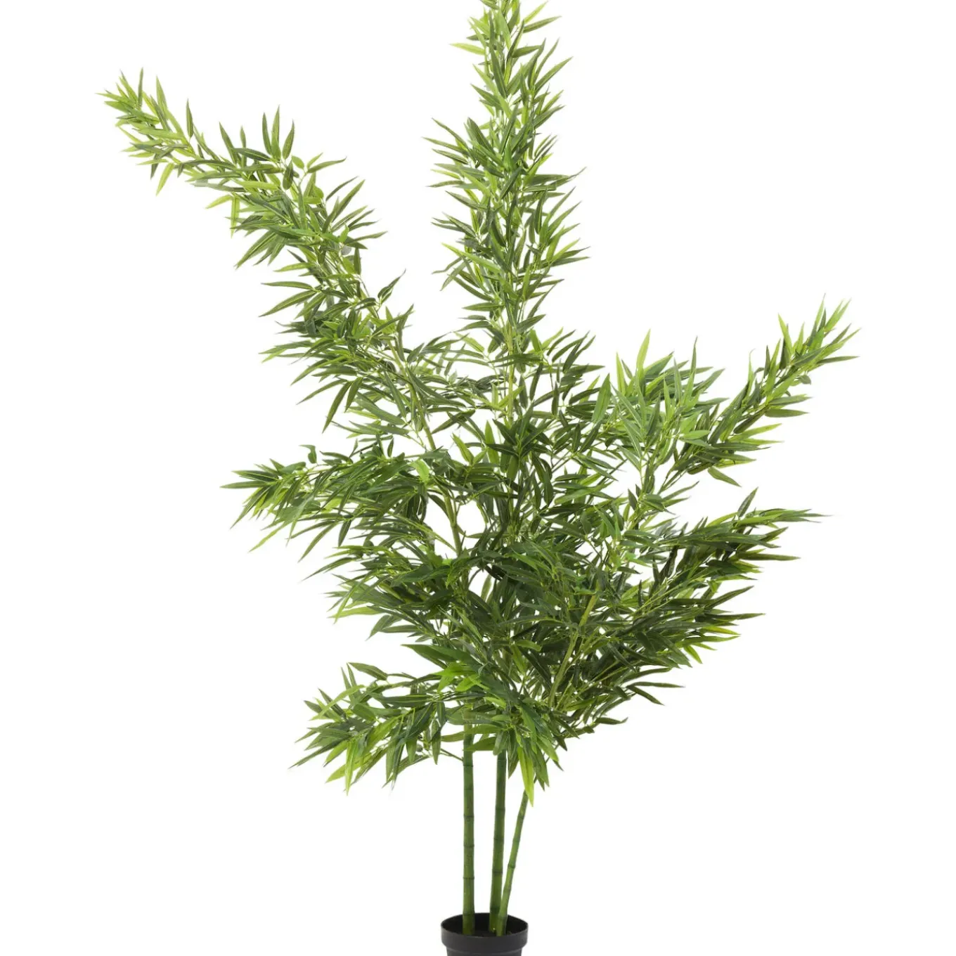 Plante Décorative Bamboo Tree 200Cm