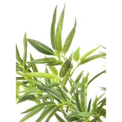Plante Décorative Bamboo Tree 200Cm