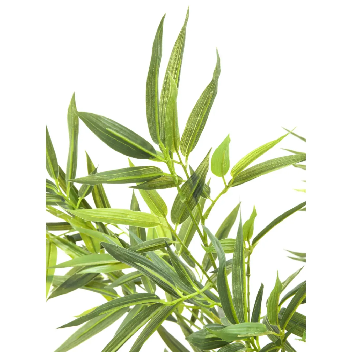 Plante Décorative Bamboo Tree 200Cm