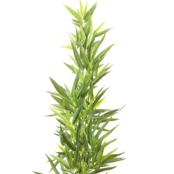 Plante Décorative Bamboo Tree 200Cm