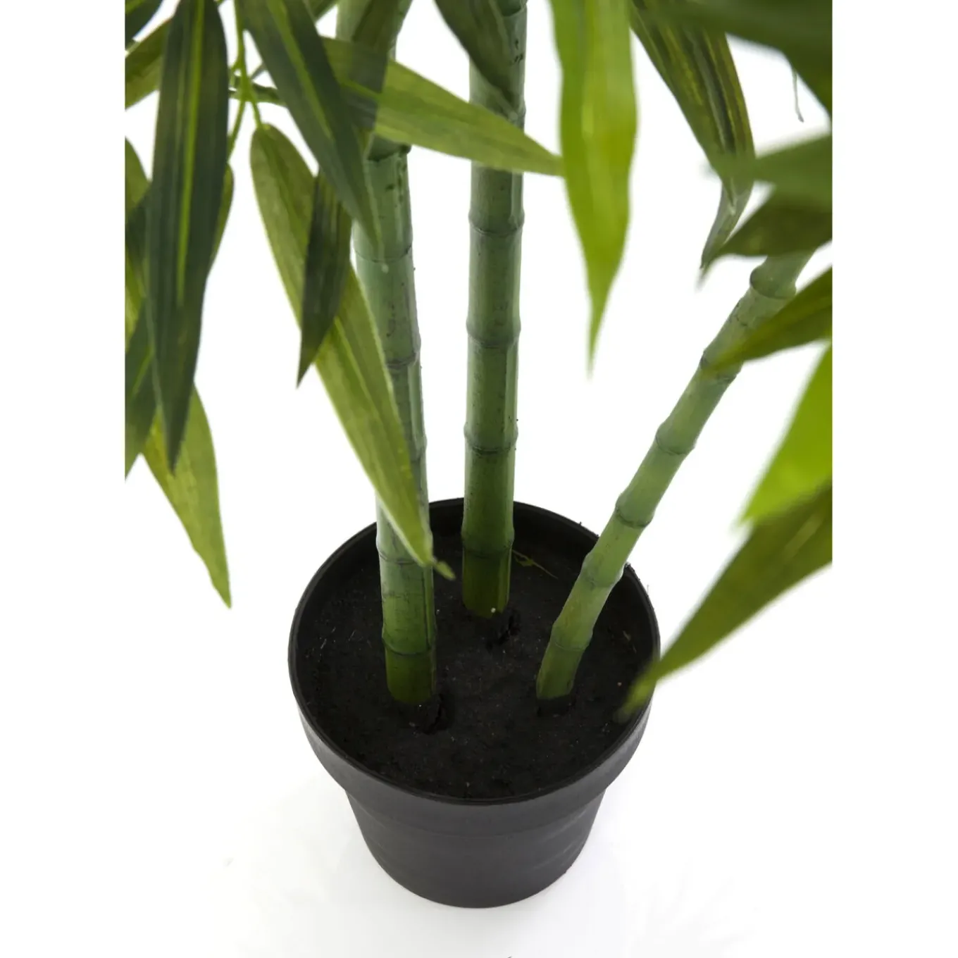 Plante Décorative Bamboo Tree 200Cm