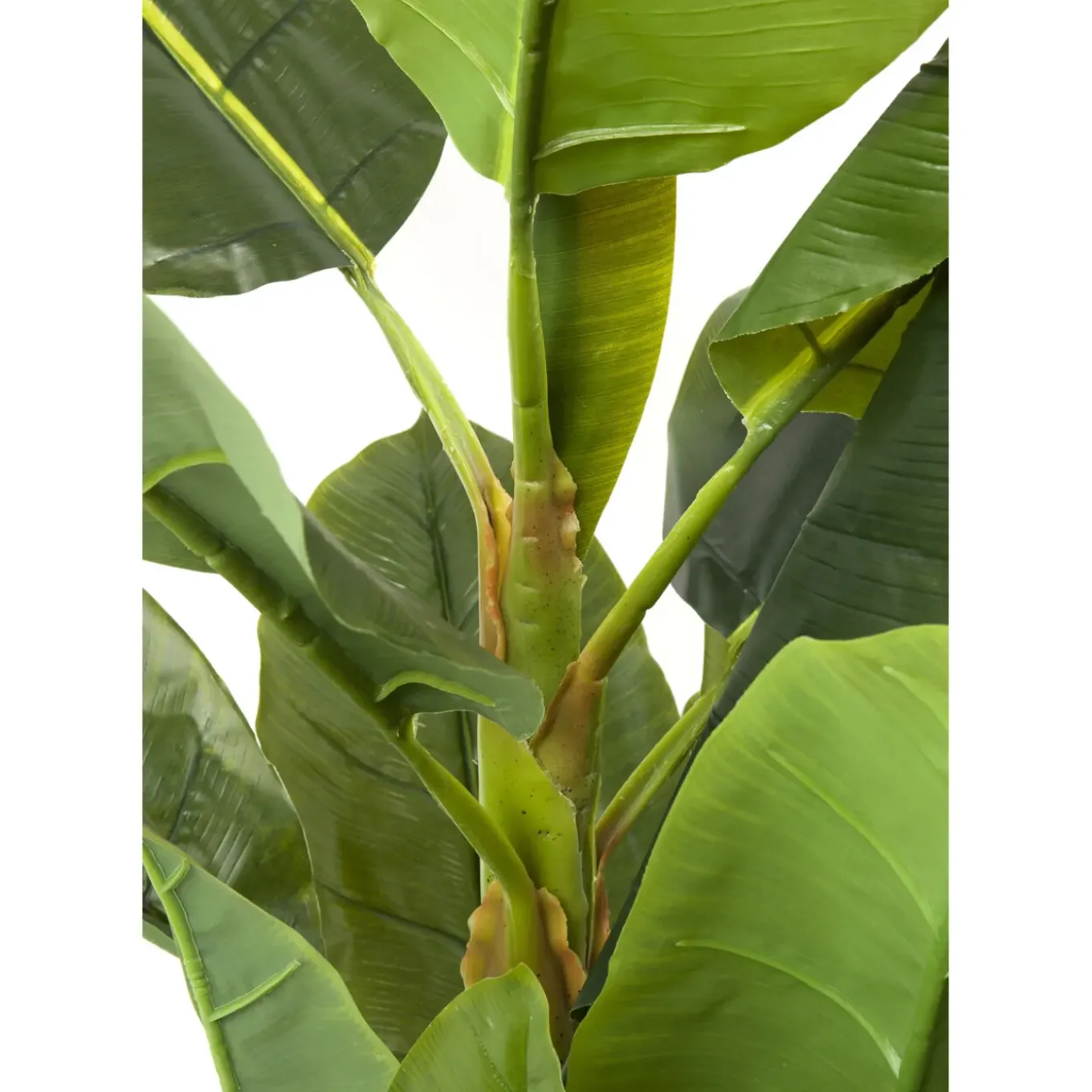 Plante Décorative Banana Tree 180Cm