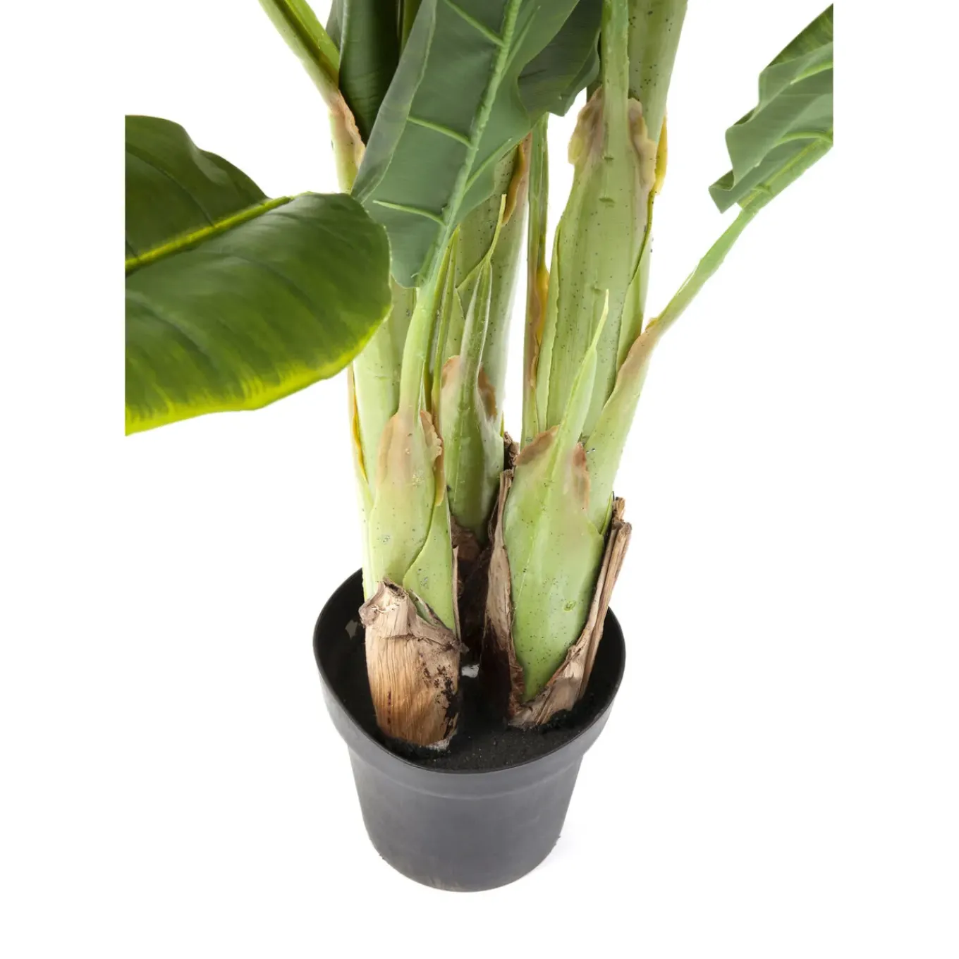 Plante Décorative Banana Tree 180Cm