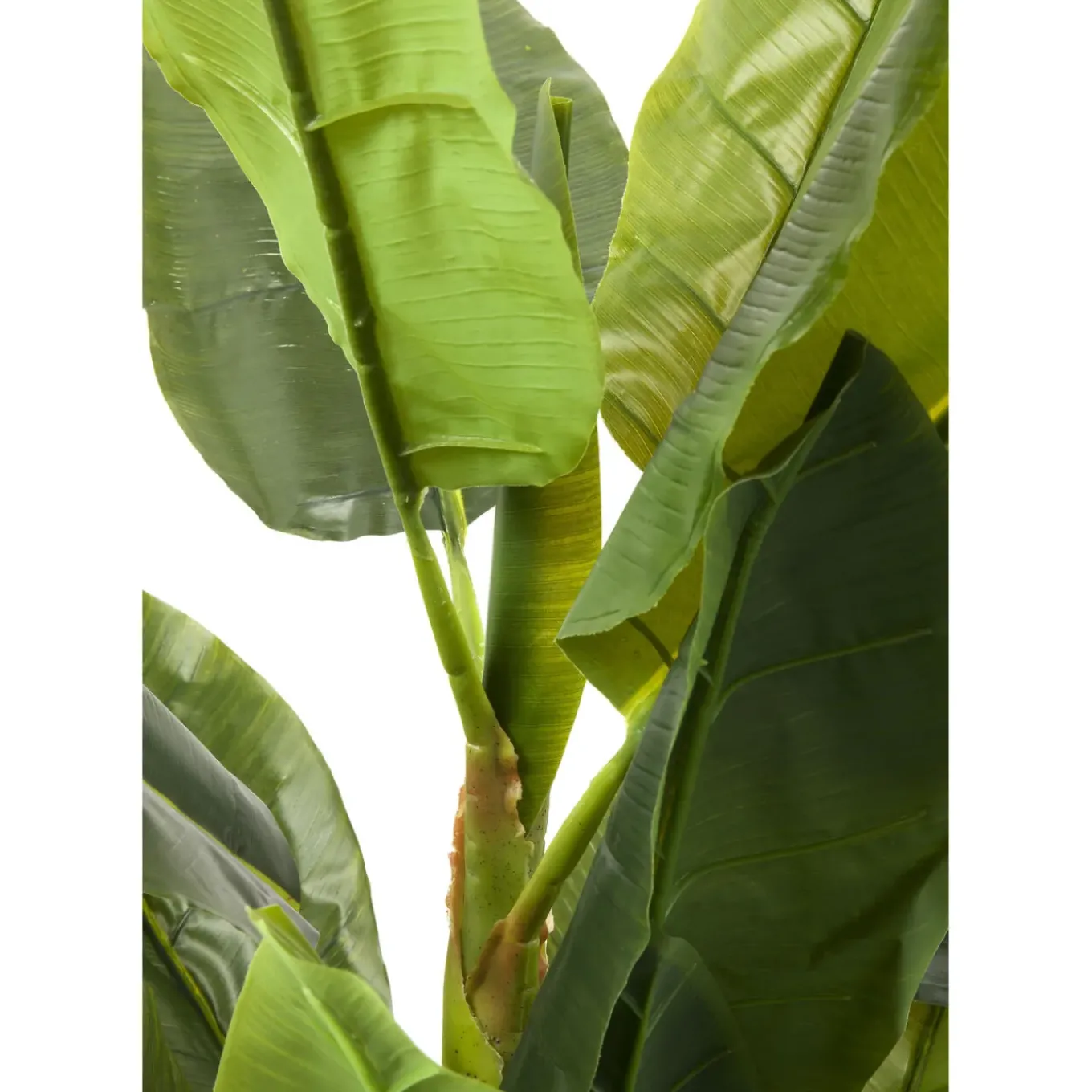 Plante Décorative Banana Tree 180Cm