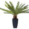 Plante Décorative Cycas Tree 78Cm