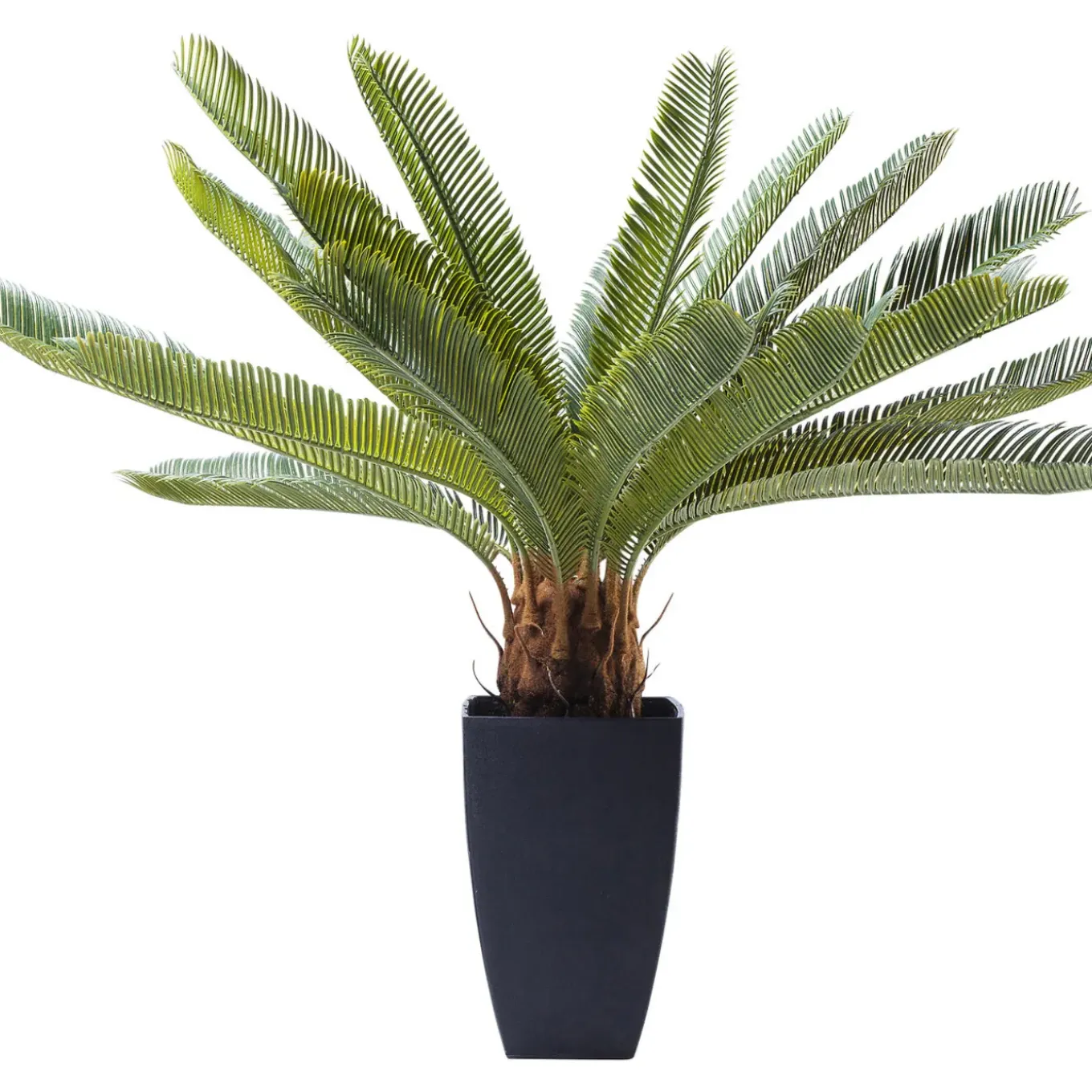 Plante Décorative Cycas Tree 78Cm