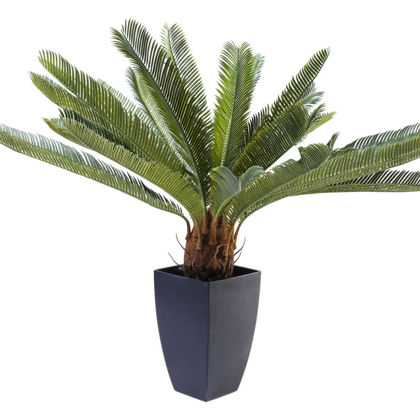 Plante Décorative Cycas Tree 78Cm