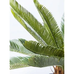 Plante Décorative Cycas Tree 78Cm