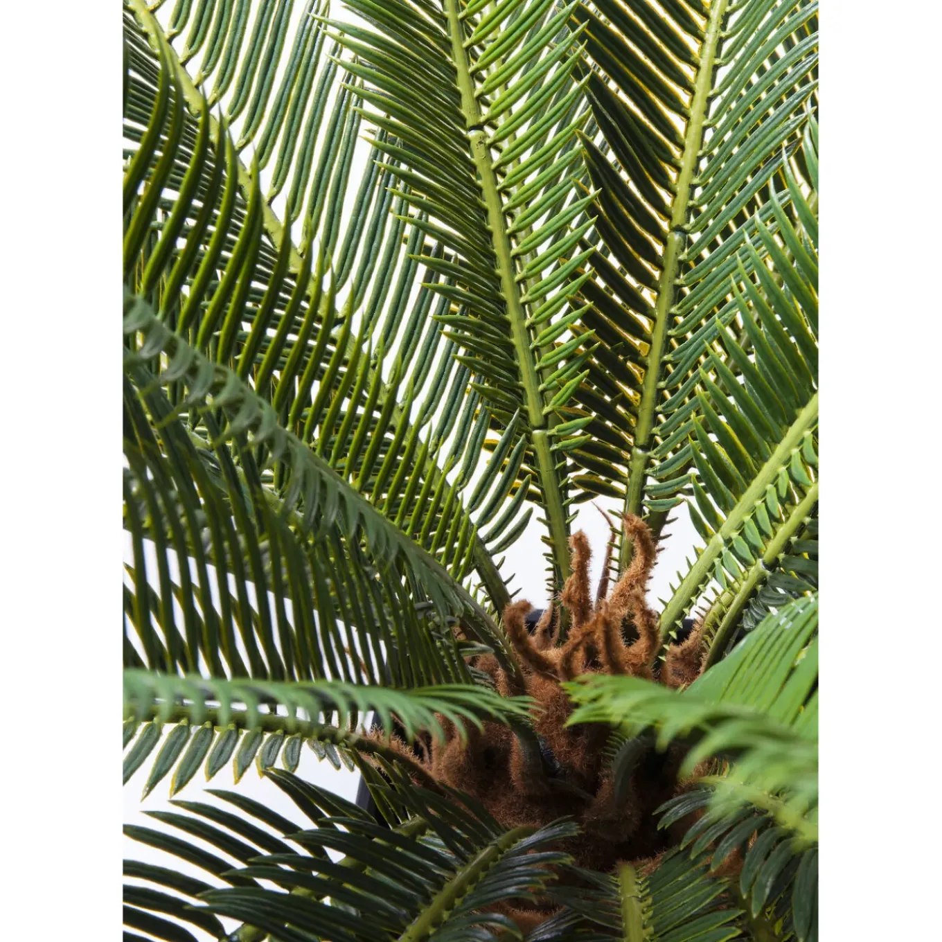 Plante Décorative Cycas Tree 78Cm