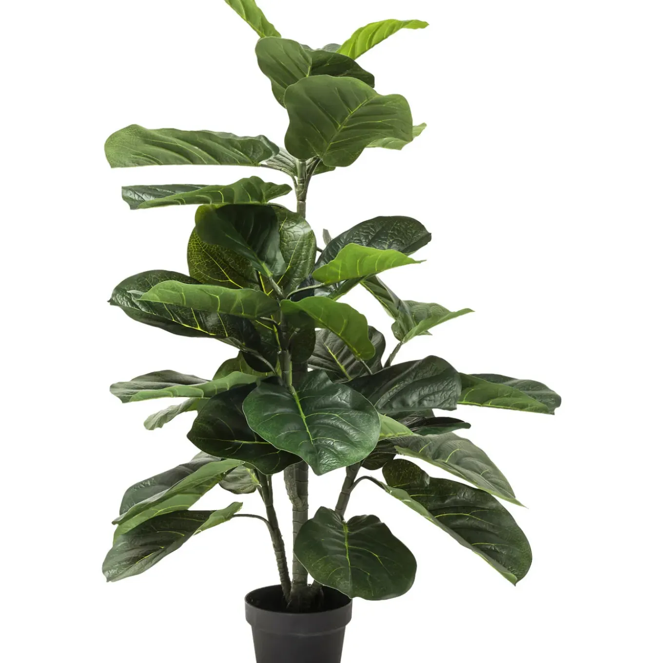 Plante Décorative Fiddle Leaf 120Cm