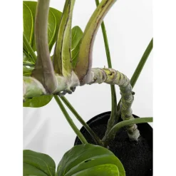 Plante Décorative Monstera 110