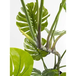 Plante Décorative Monstera 110