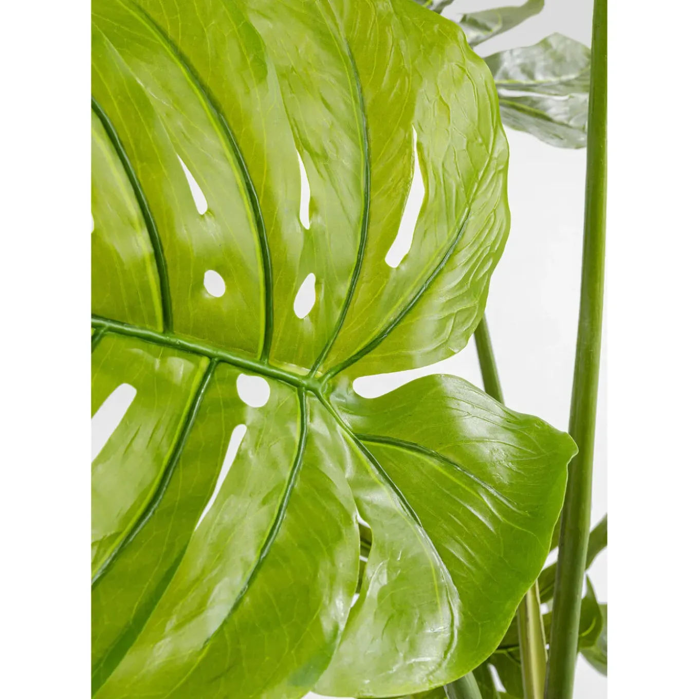 Plante Décorative Monstera 110