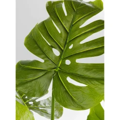 Plante Décorative Monstera 110