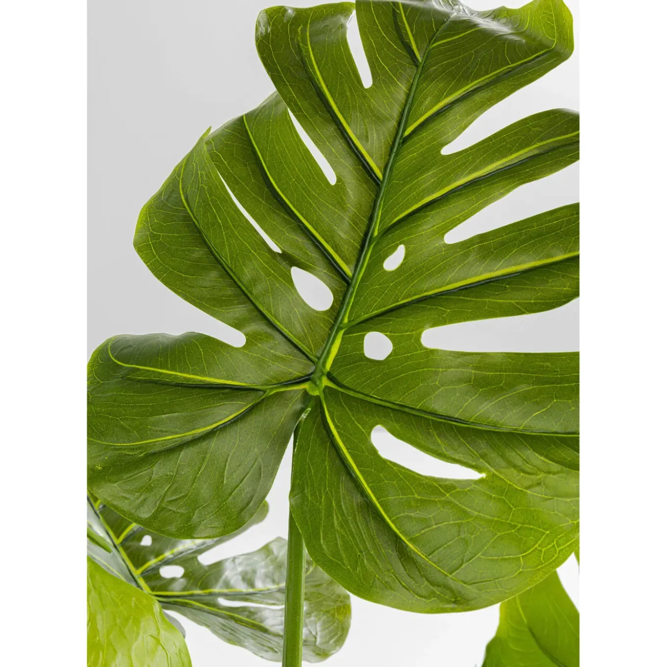 Plante Décorative Monstera 110