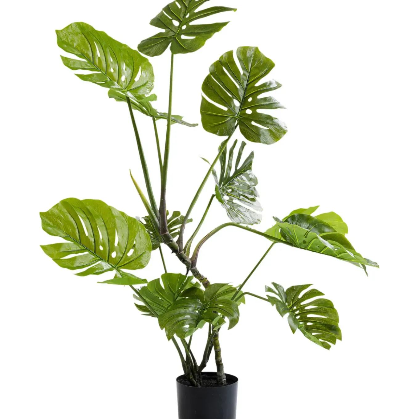 Plante Décorative Monstera 110