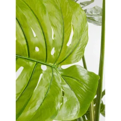 Plante Décorative Monstera 110