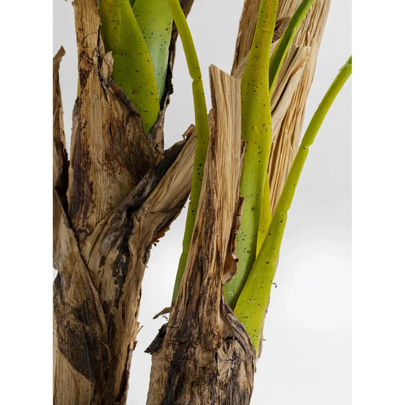 Plante Décorative Palm Tree 190Cm