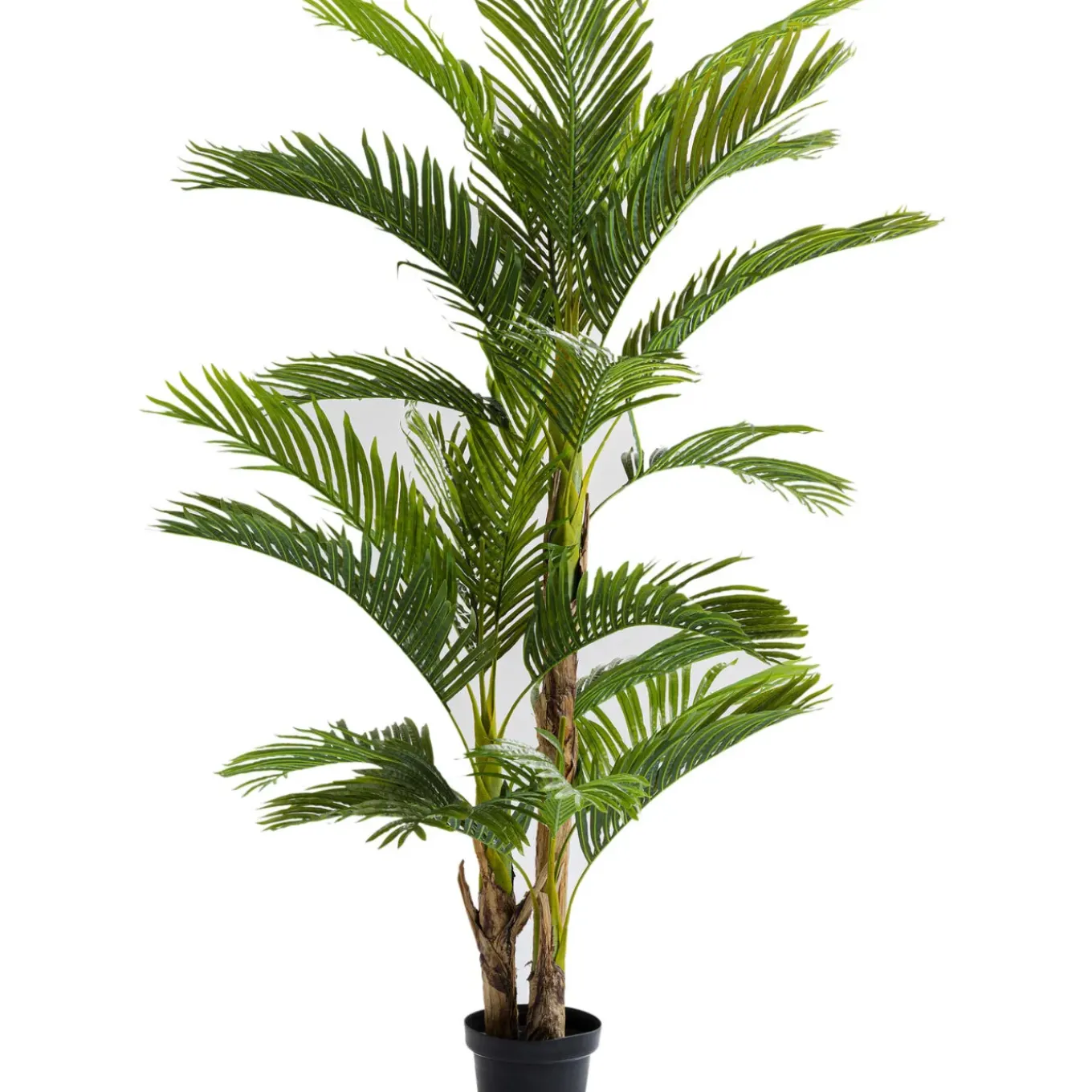 Plante Décorative Palm Tree 190Cm